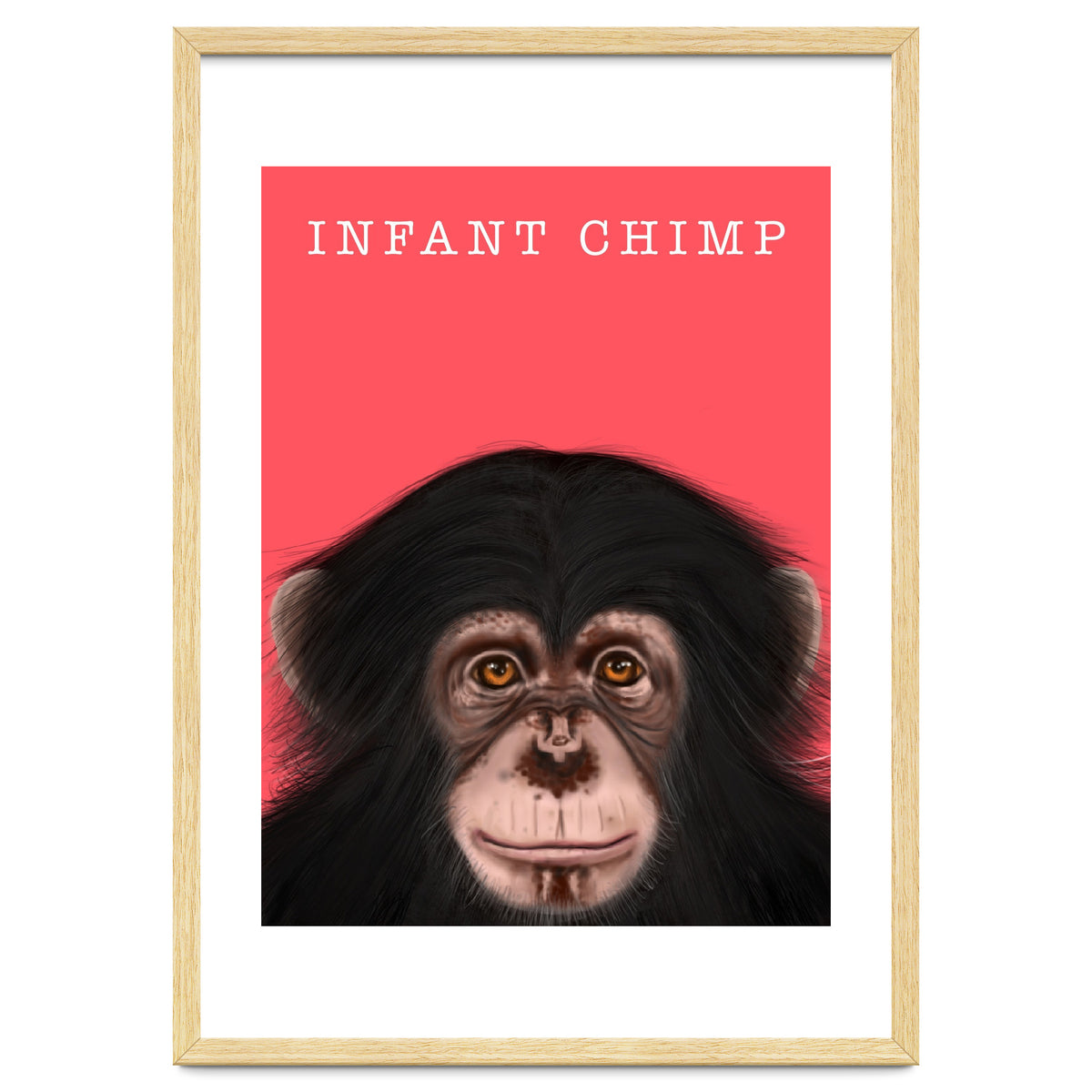 Infant Chimp