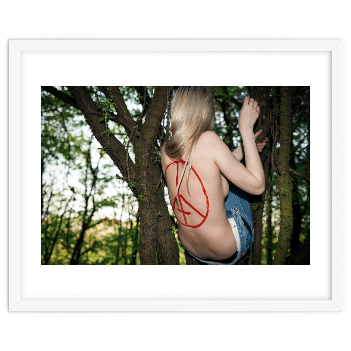 Making home up in a Tree