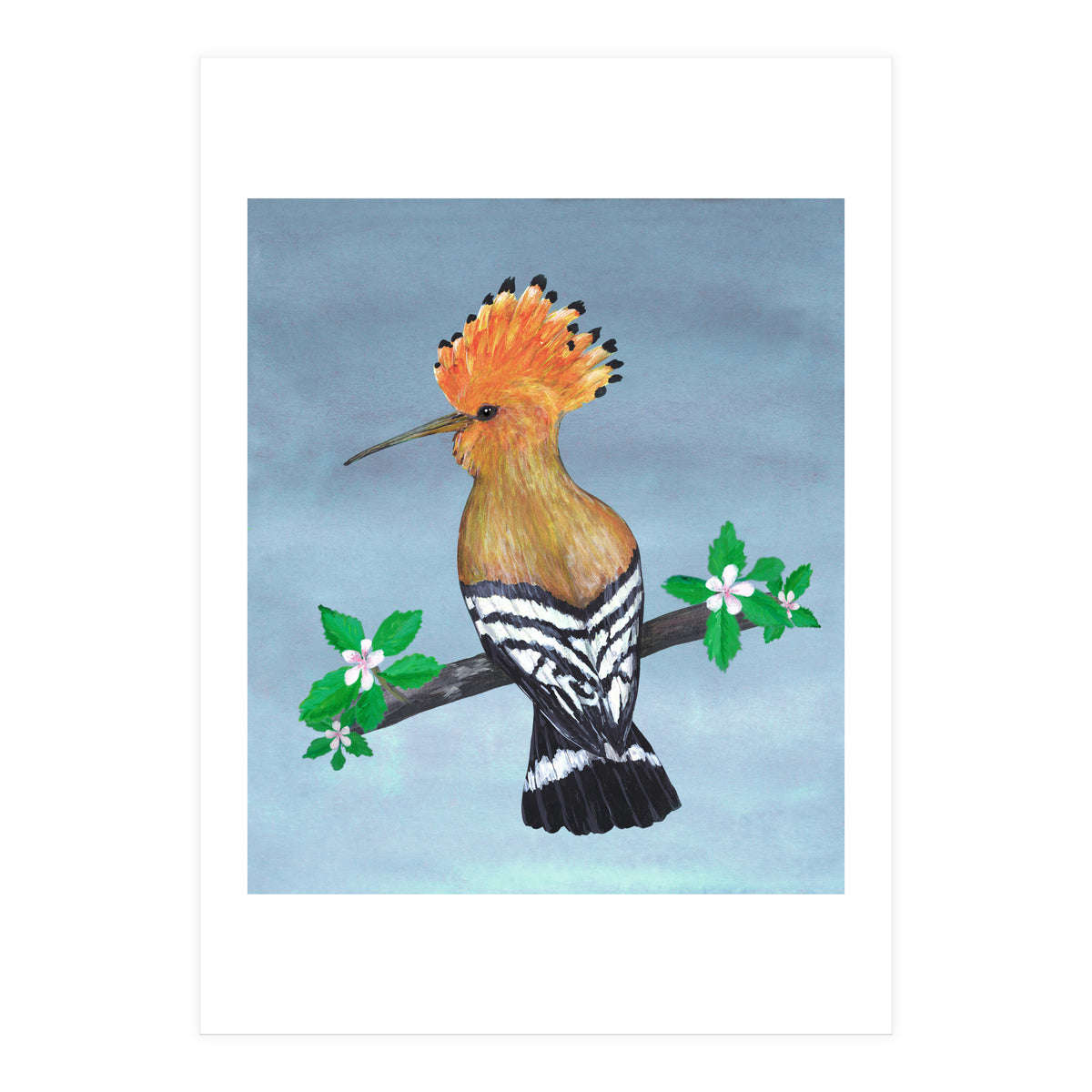 Hoopoe bird (Print Only)