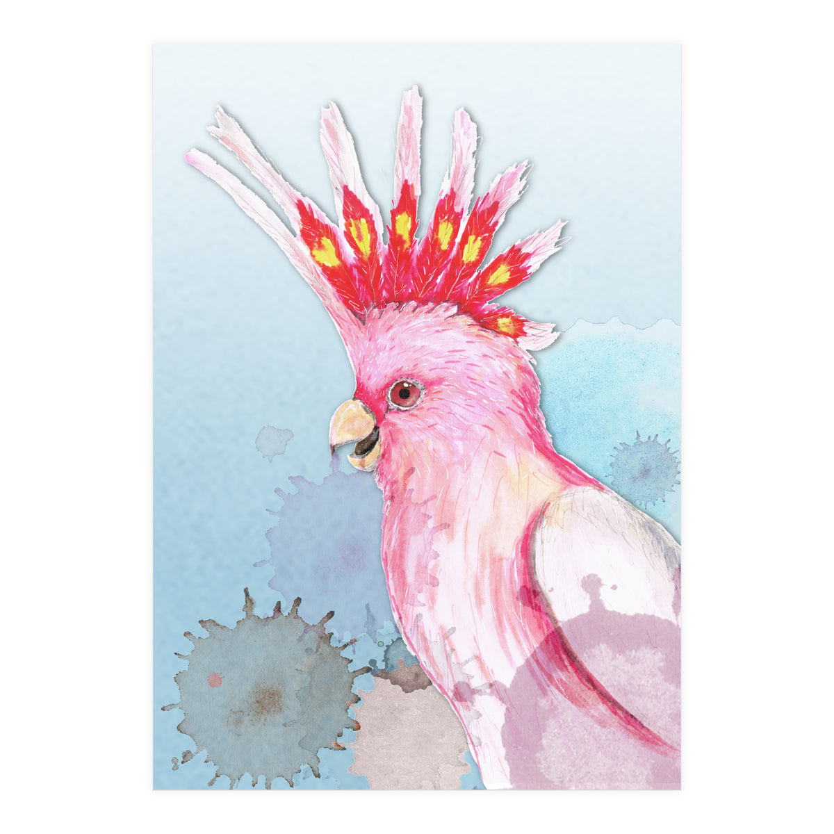 Major Mitchell's cockatoo (Print Only)