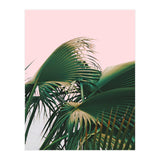 Palm Love (Print Only) thumbnail