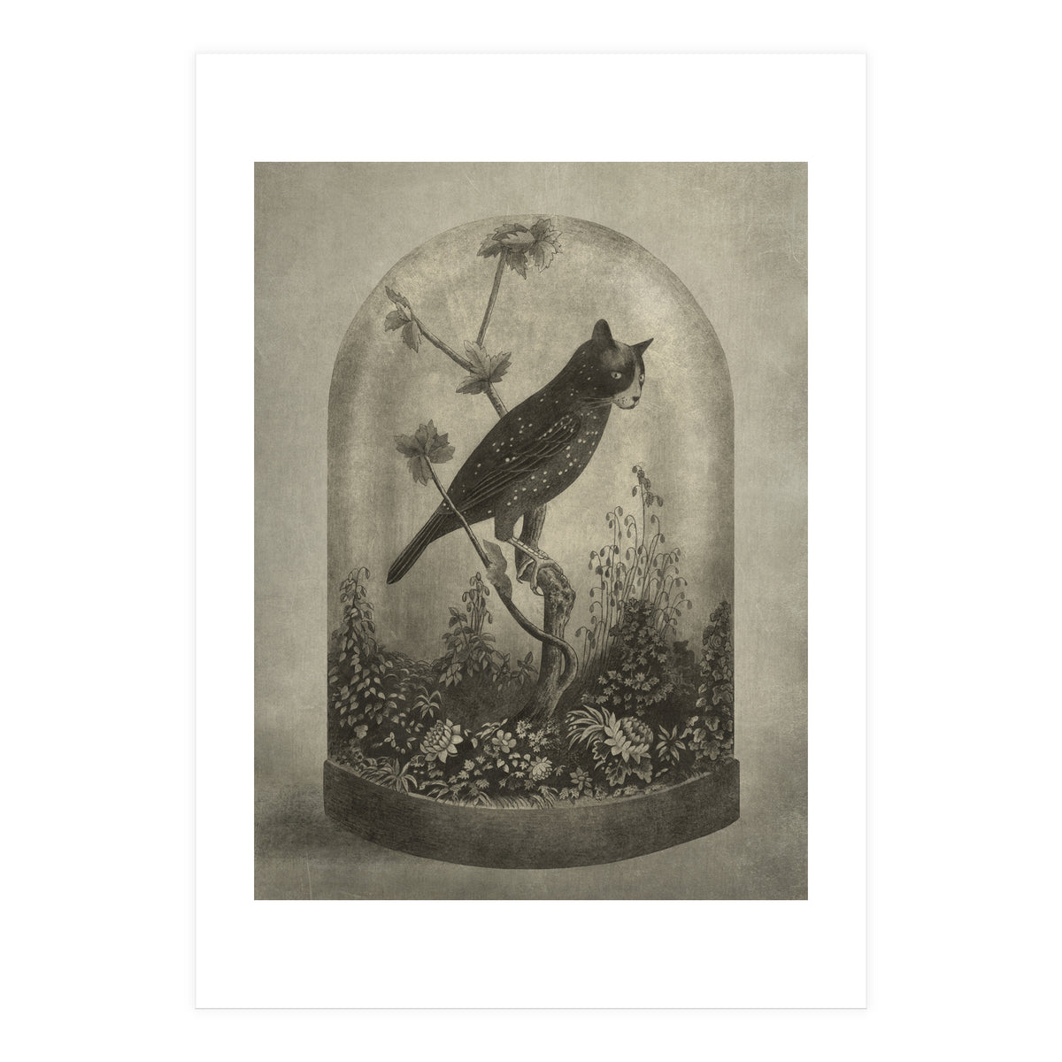 The Curiosity (Print Only)