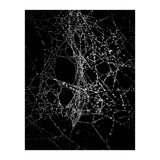 Spiderweb No 4 (Print Only) thumbnail