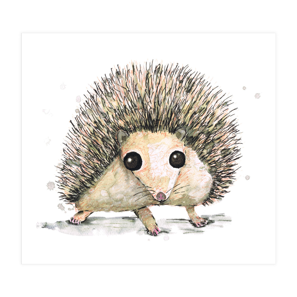 Hedgehog (Print Only)
