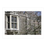 Inner Temple Gardens (Print Only) thumbnail