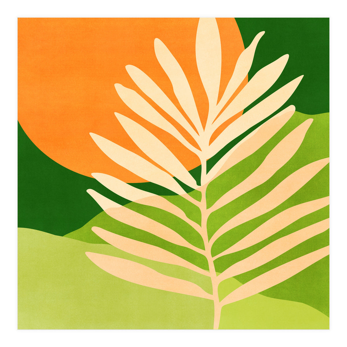 Sunny Palm Frond (Print Only)