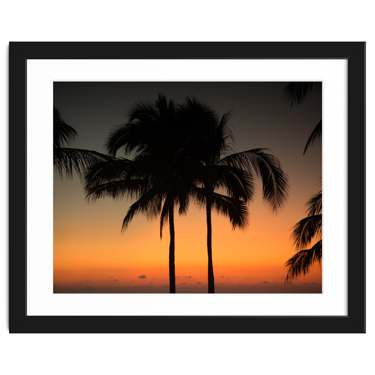 Mexico, November nights