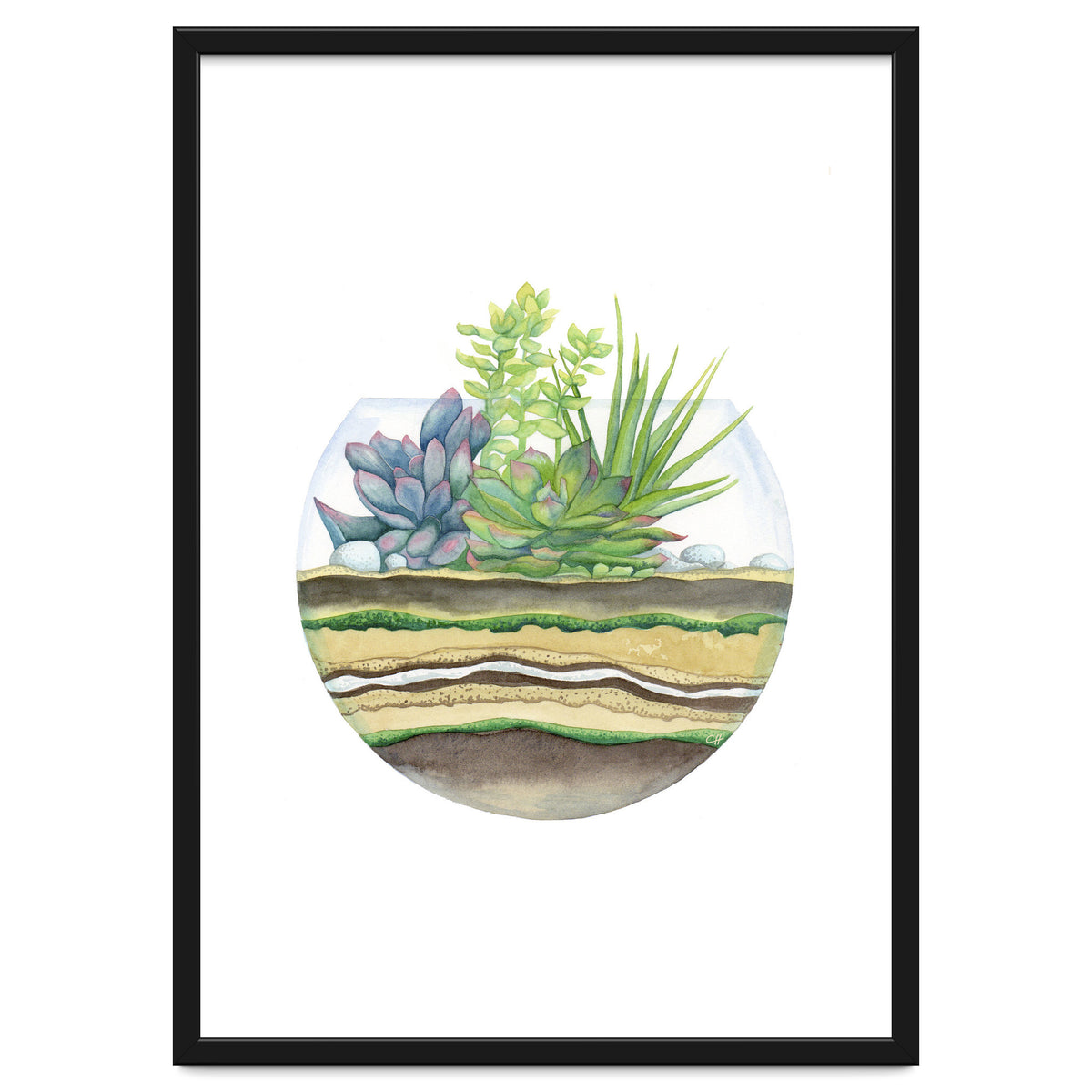 A Little Green Terrarium
