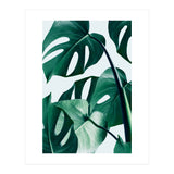 Monstera (Print Only) thumbnail