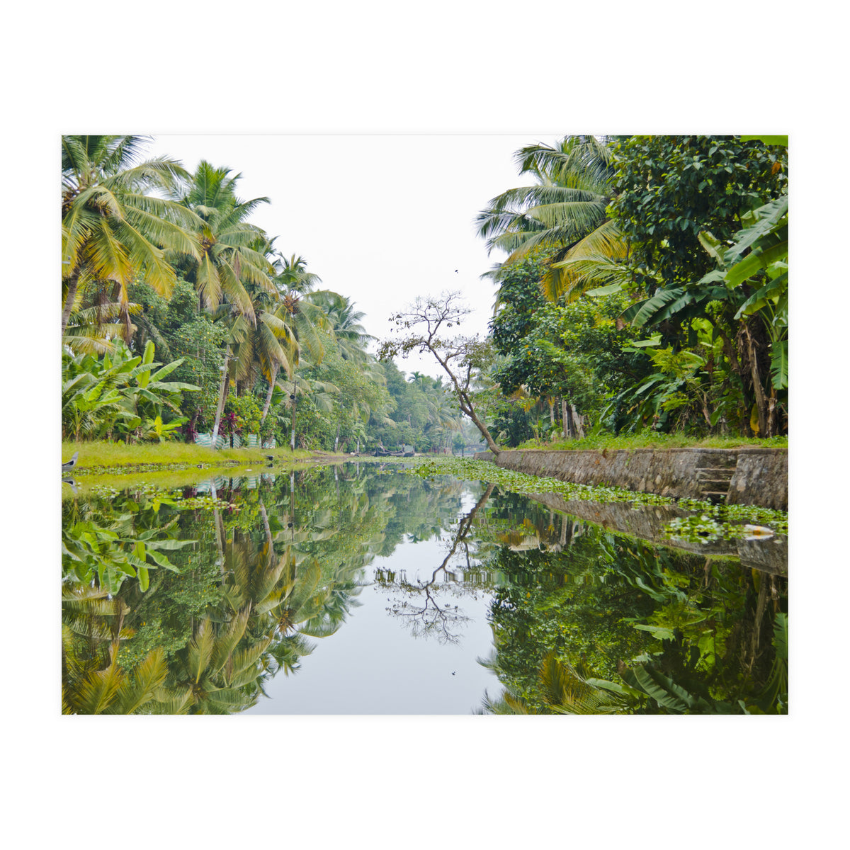 Allepey, India (Print Only)