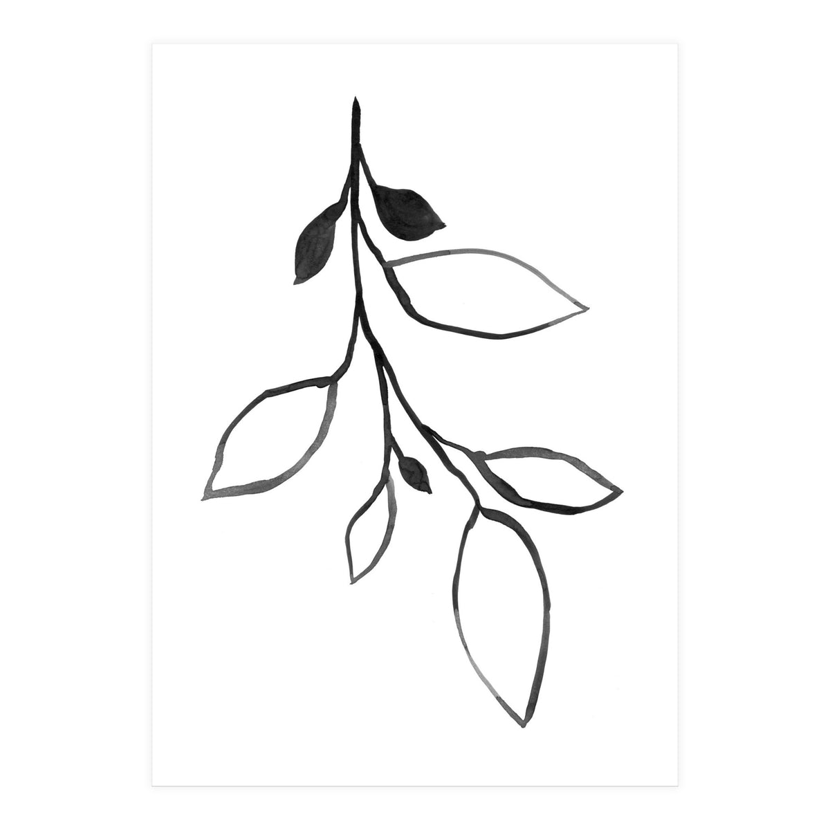 Ink Plant 3 (Print Only)