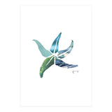 Starfish (Print Only) thumbnail