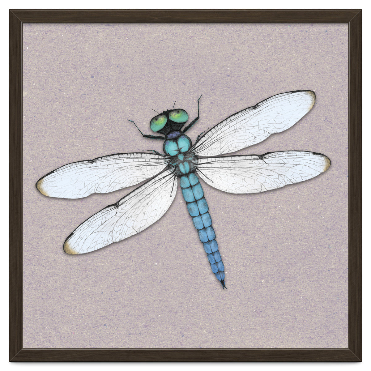 Blue dragonfly