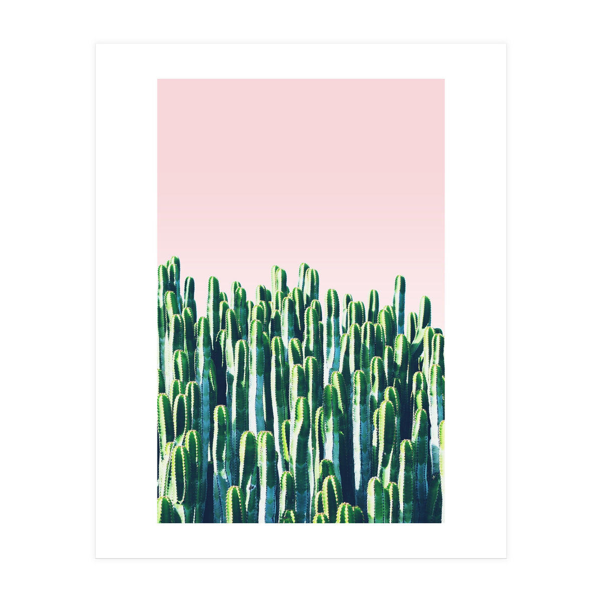 Cactus & Sunset I (Print Only)