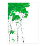 Birch forest (Print Only) thumbnail