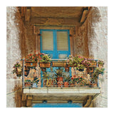 Flowered window in Venice (Print Only) thumbnail