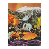 Glowing Mushrooms (Print Only) thumbnail
