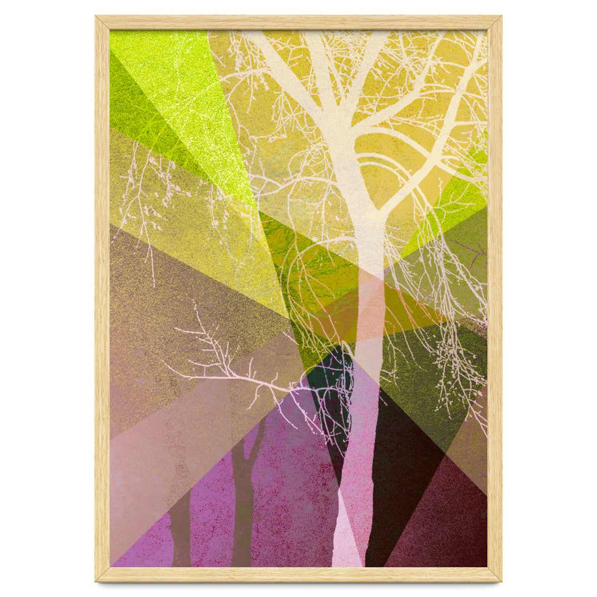 P22 A Trees And Triangles