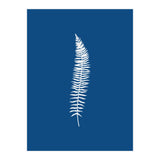 Blue Botanical I (Print Only) thumbnail