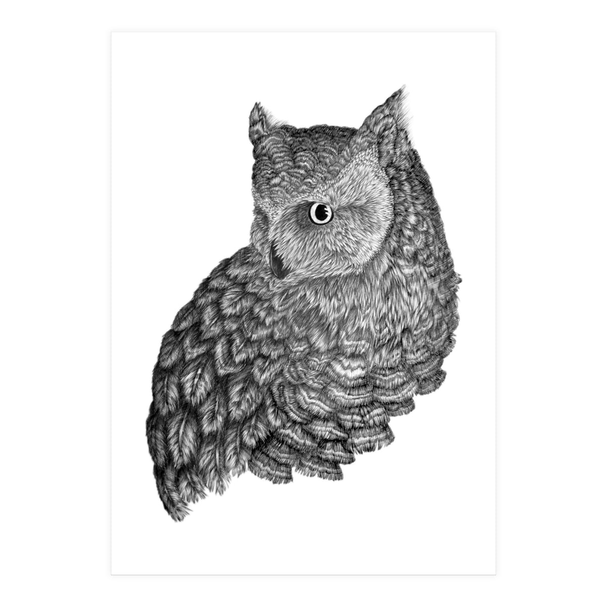 A Friend For Forsythe (Print Only)