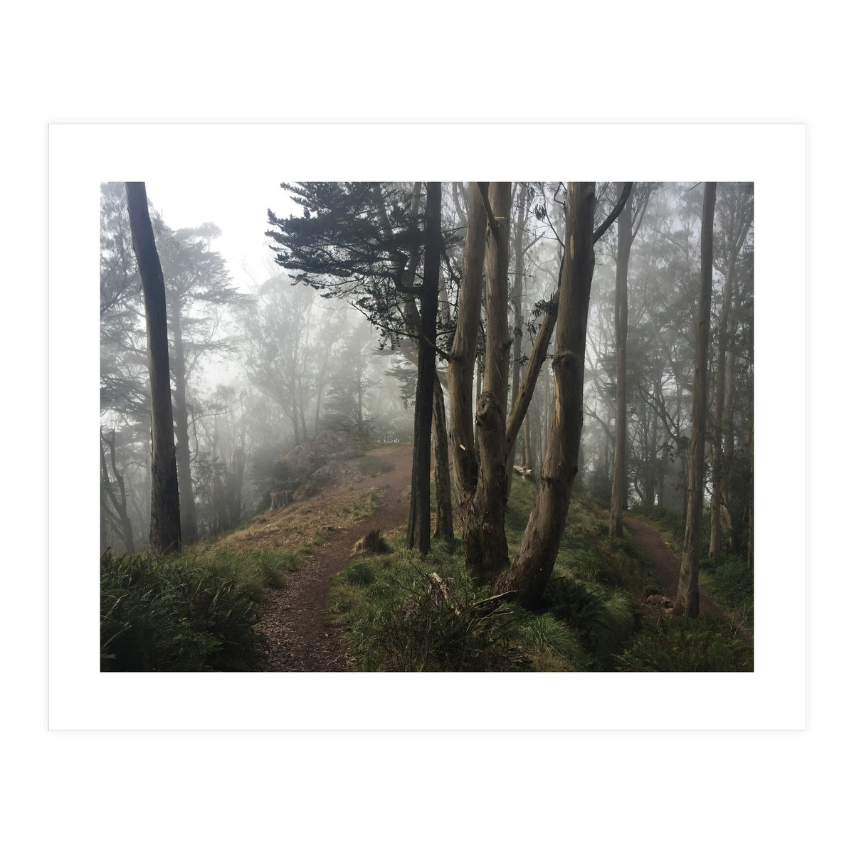 Mt. Davidson II (Print Only)