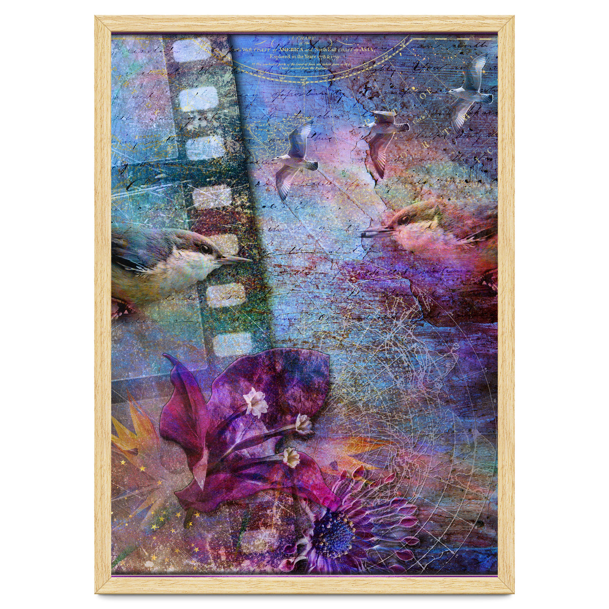 Watching the Wild World