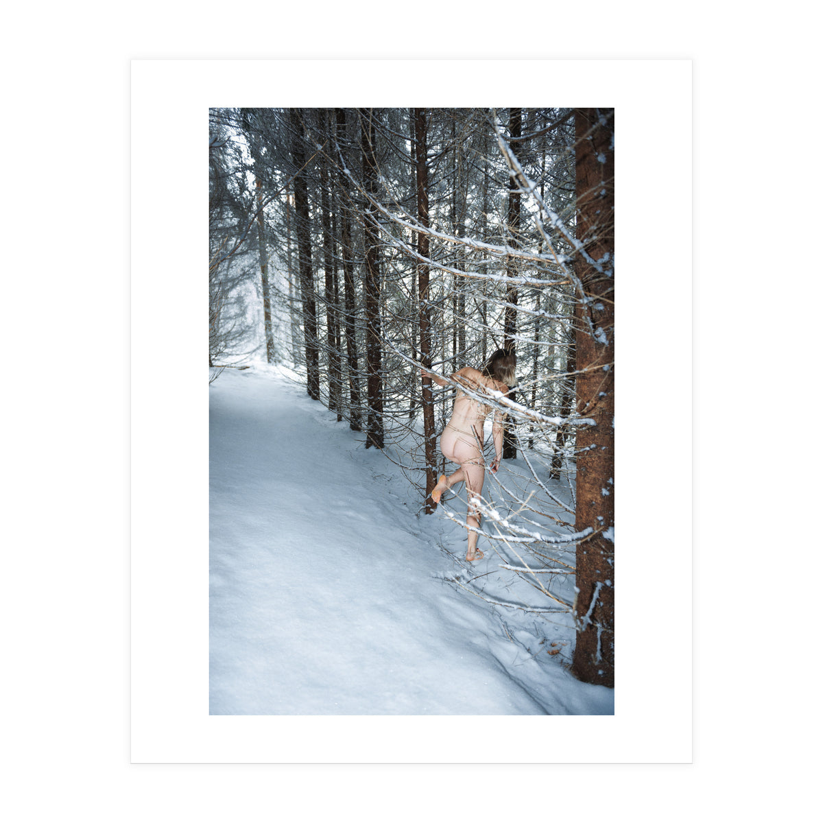 New Year's Resolutions (Print Only)