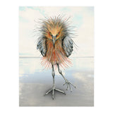 Reddish Egret (Print Only) thumbnail