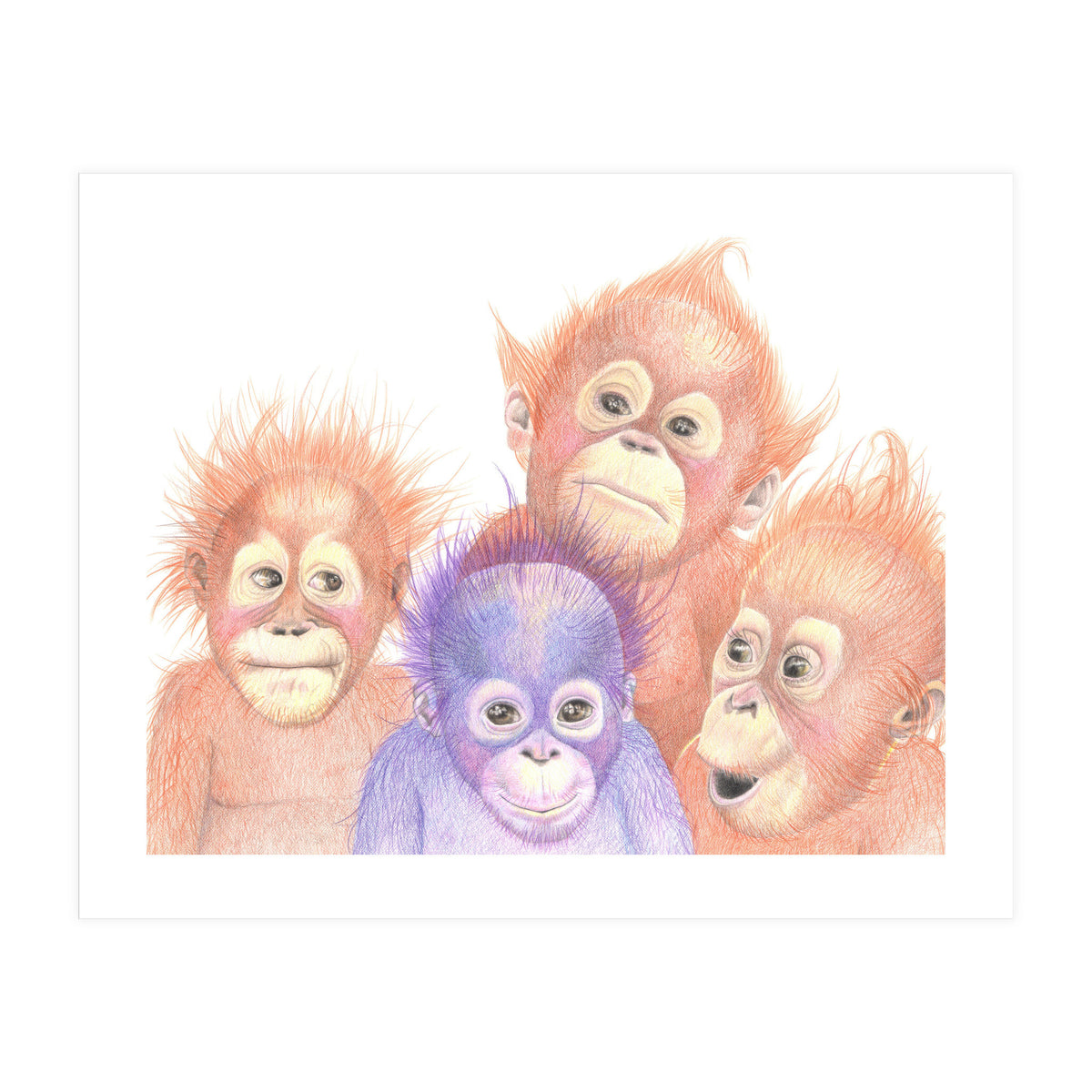Orangutan Babies (Print Only)