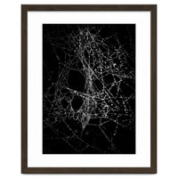 Spiderweb No 4