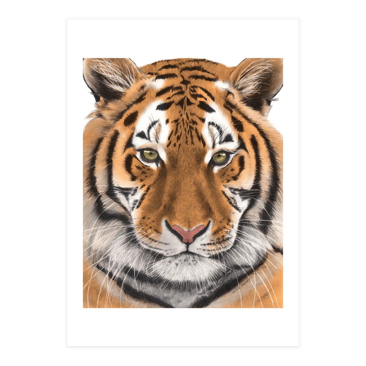 Tiger (Print Only)