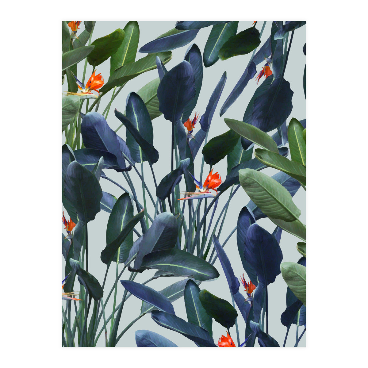 Optical Zen (Print Only)