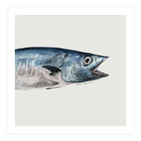 Fish pt1 (Print Only) thumbnail