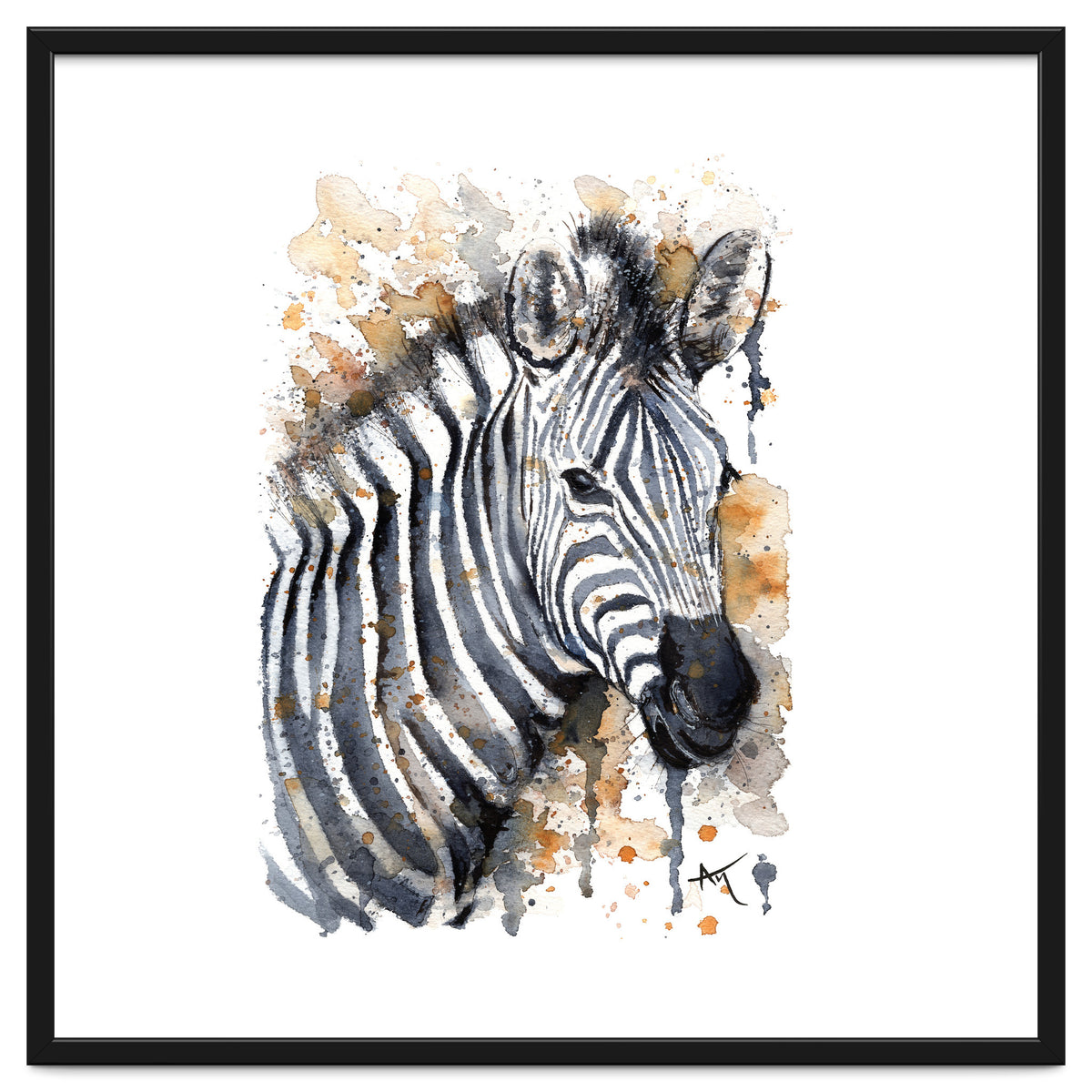 Zebra - Wildlife Collection