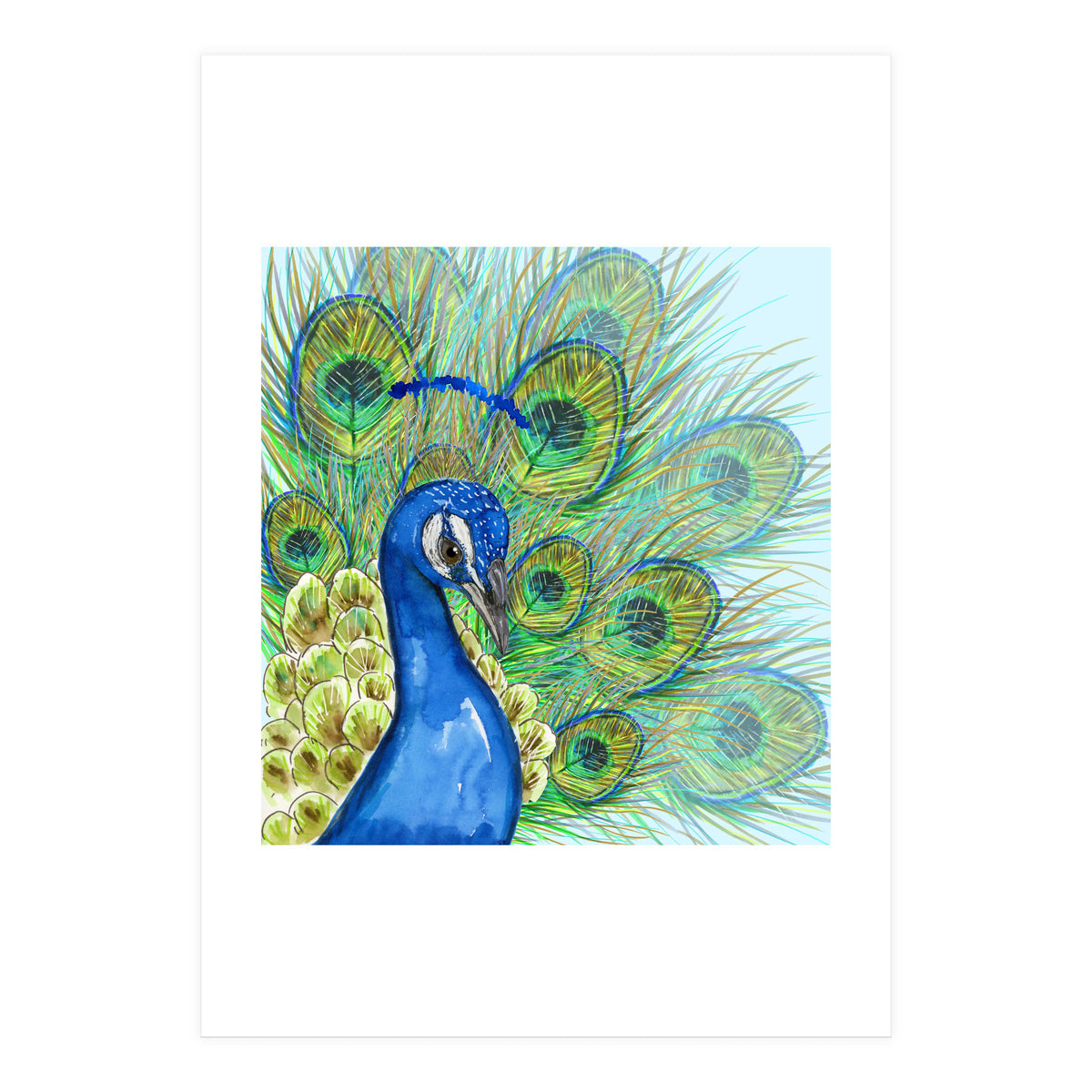 Peacock portrait (Print Only)
