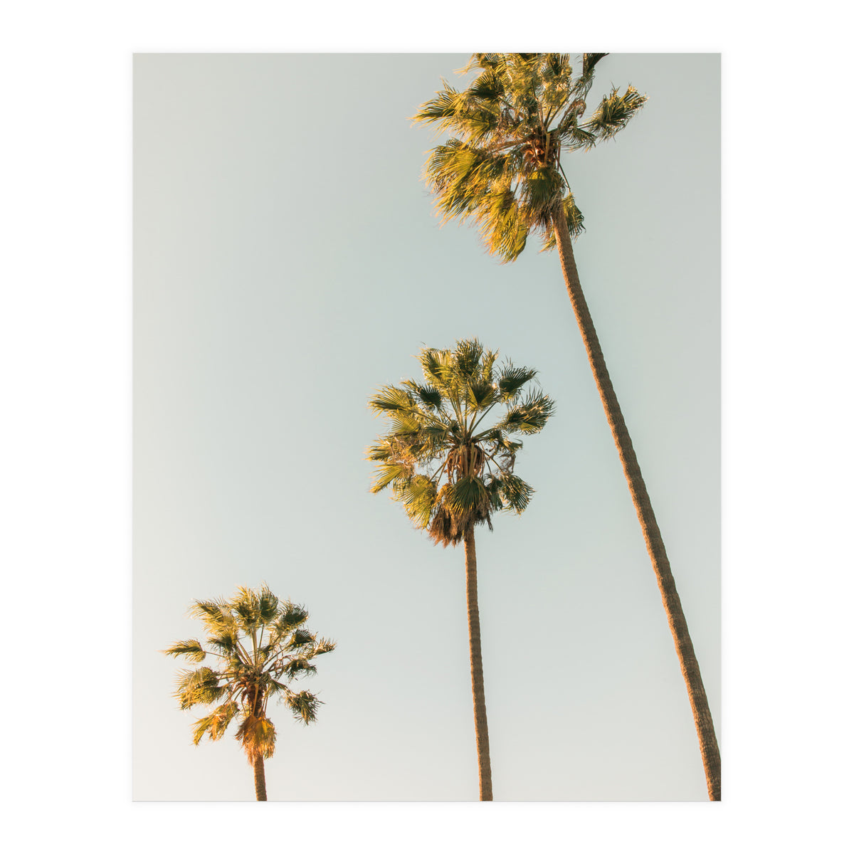 California (Print Only)