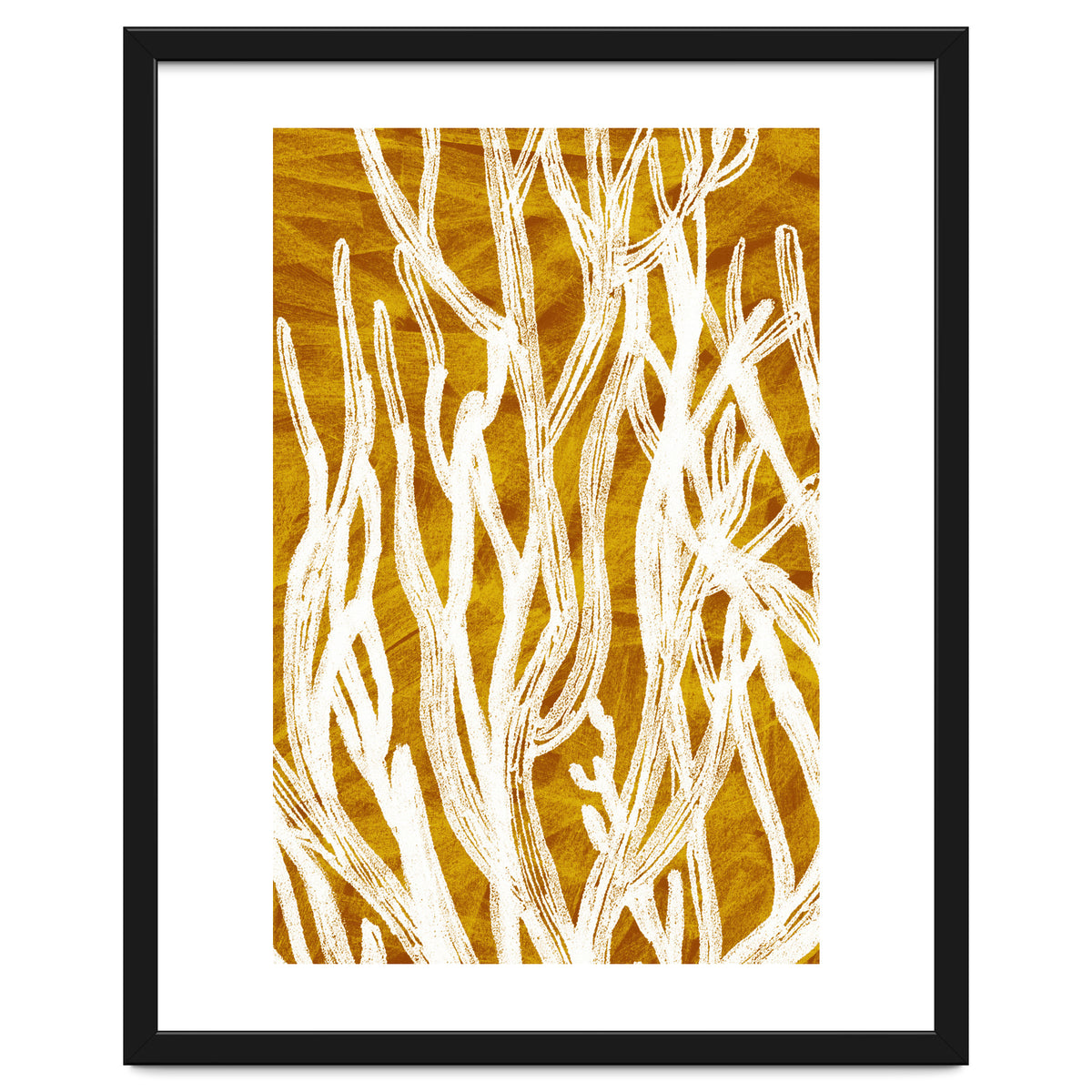 Desert Colours Collection 1