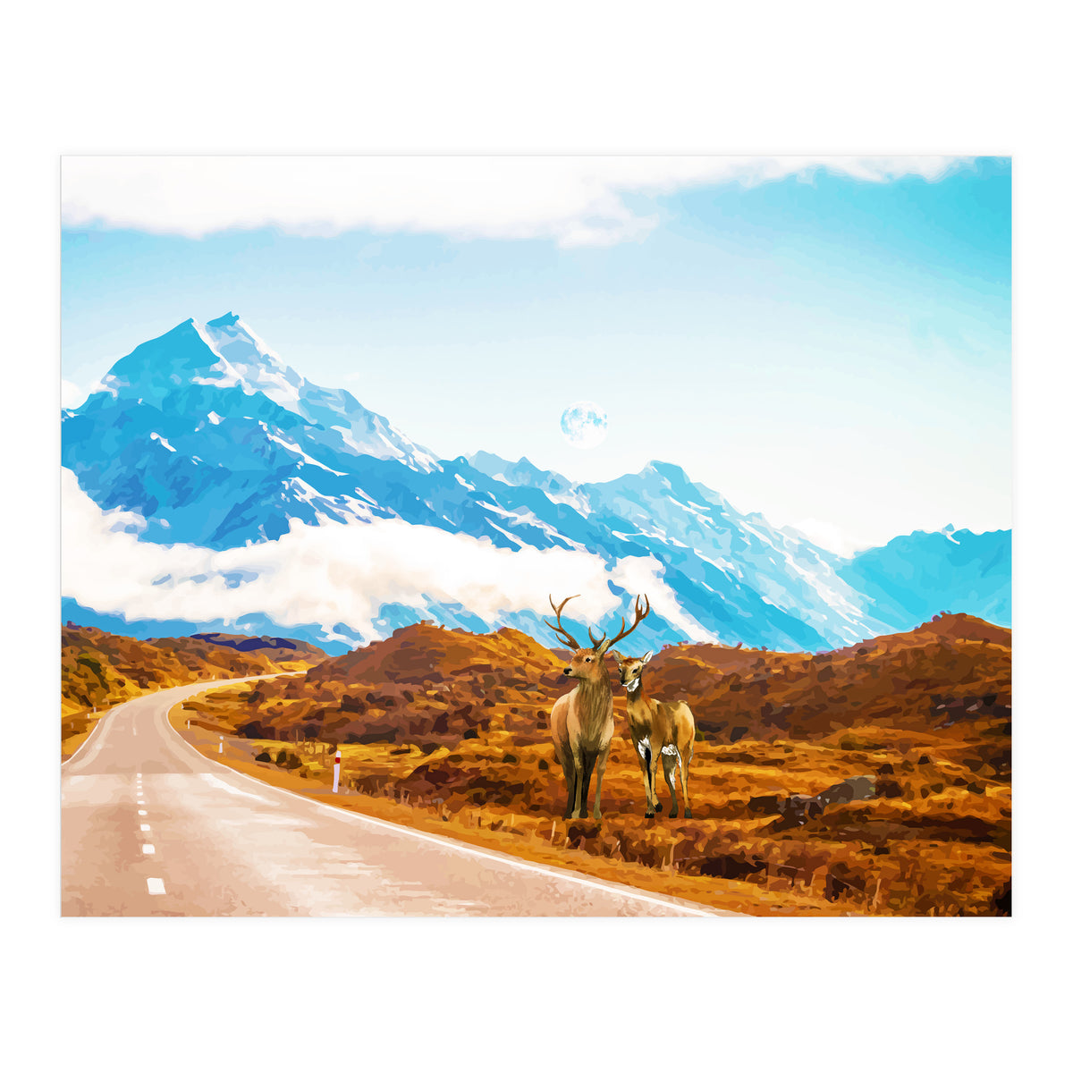 Wildlife (Print Only)