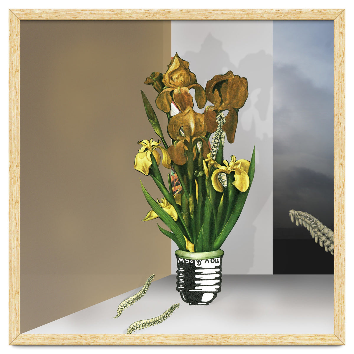 Das Licht Der Pflanze