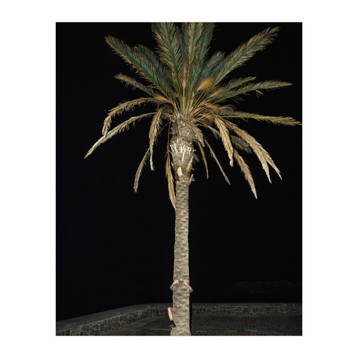 Facepalm (Print Only)