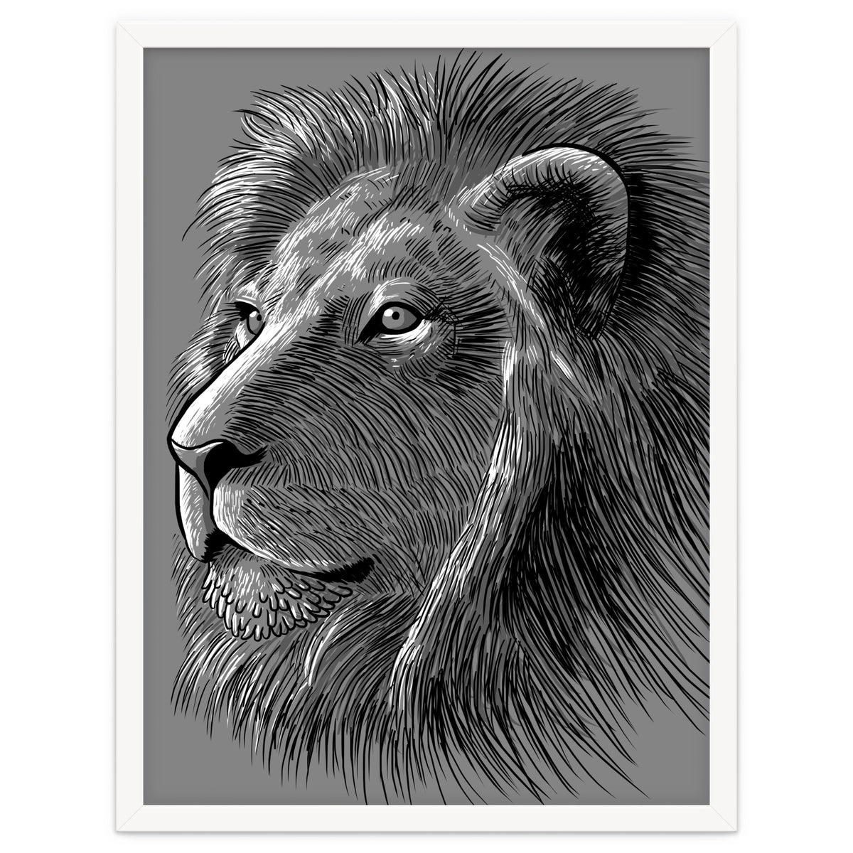 Sketch Lion