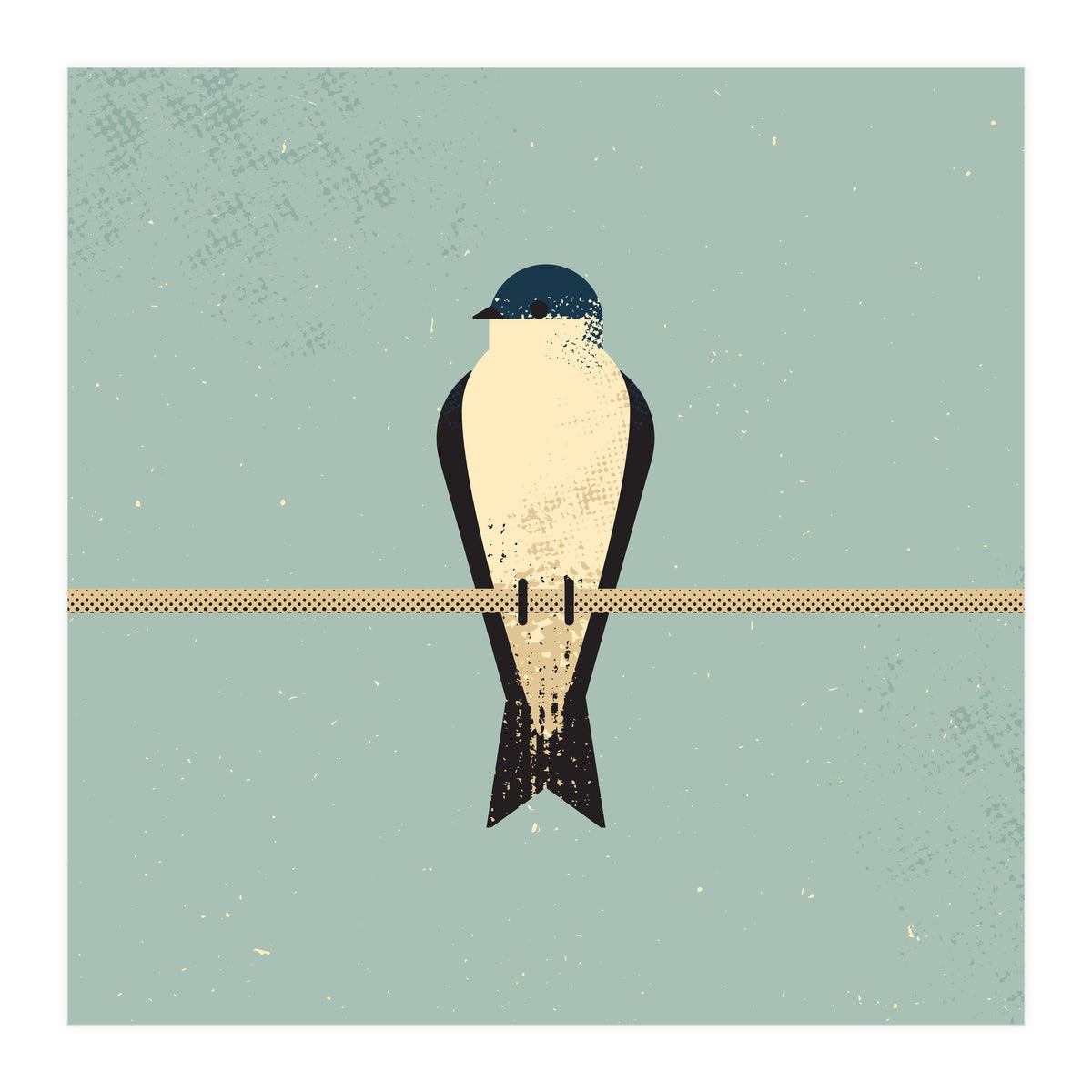 Swallow (Print Only)