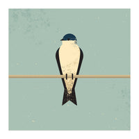 Swallow (Print Only)