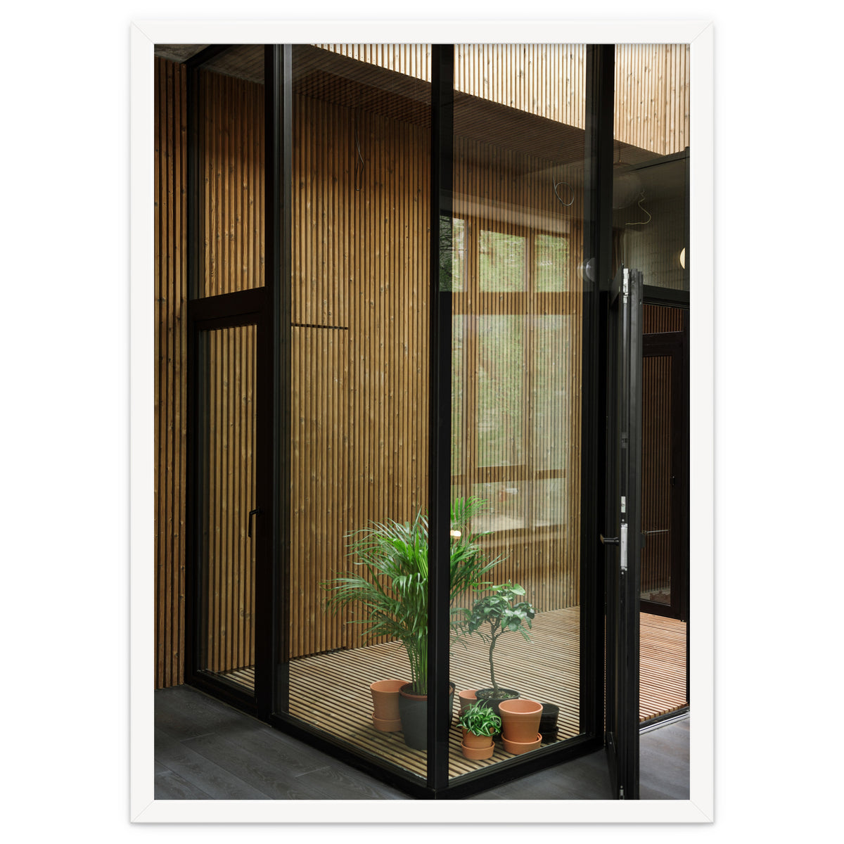 Public Place at my House