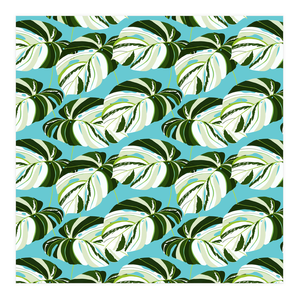 Summer Variegated Monstera | Rainforest Jungle botanical Plants Illustration | Boho Tropical Nature (Print Only)