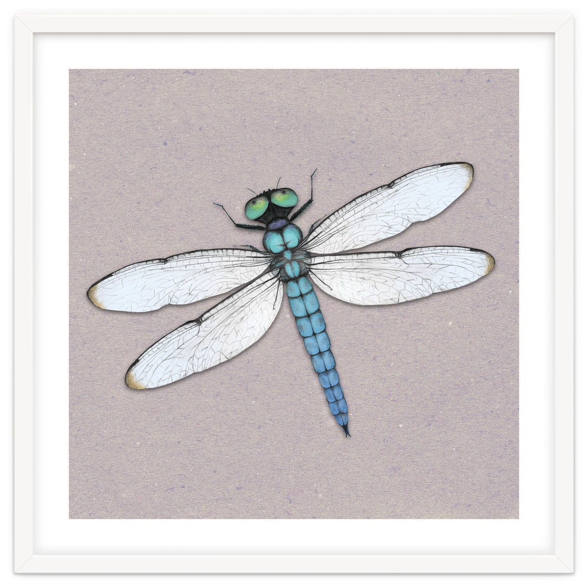 Blue dragonfly