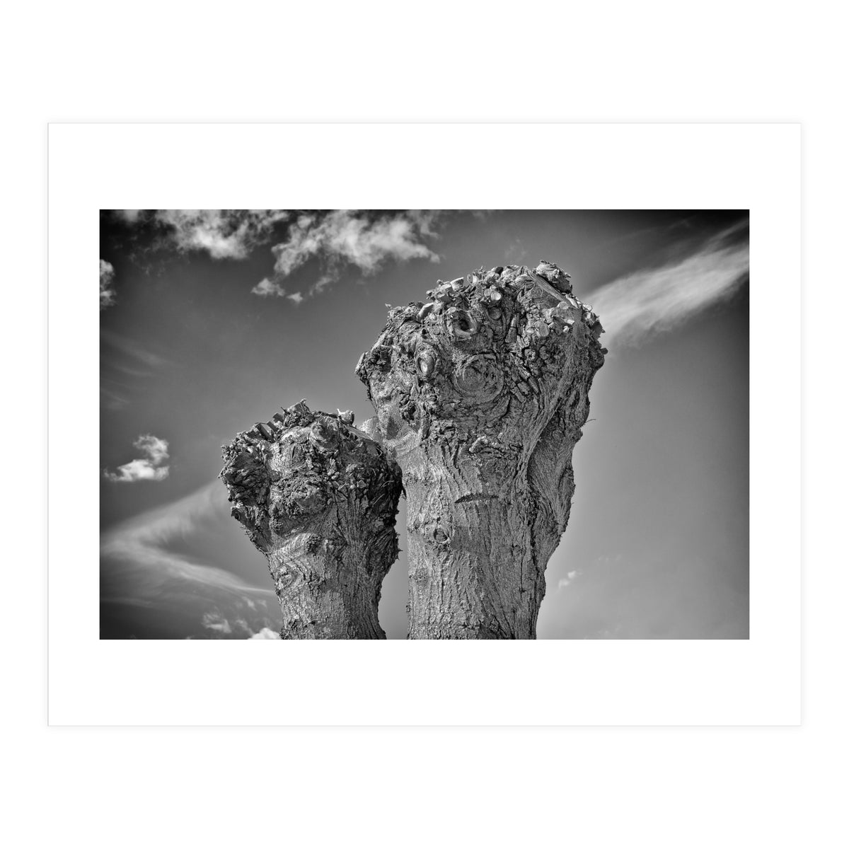 Cut down 2 (Print Only)