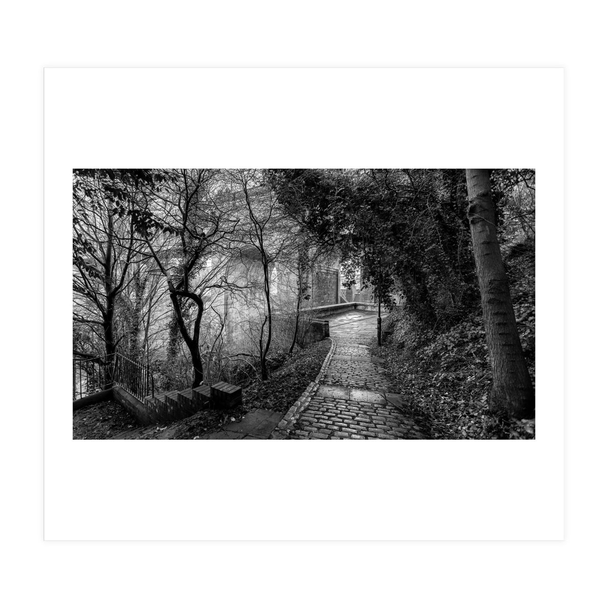 Monochrome path (Print Only)