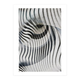 White Eyes  (Print Only) thumbnail