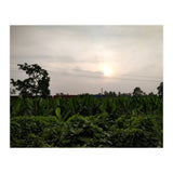 Never Ending Journey (Print Only) thumbnail
